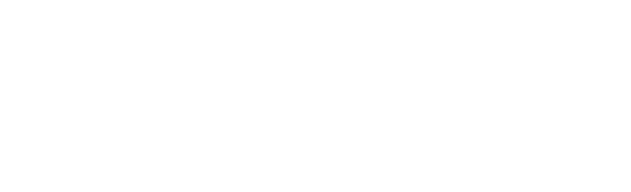 Octo Search Partners